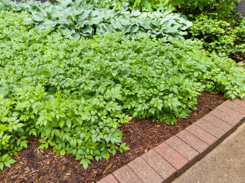 Brick Hardscaping Installation in Worcester, MA
